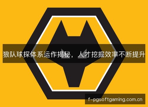 狼队球探体系运作揭秘,人才挖掘效率不断提升 狼队球探体系运作揭秘,人才挖掘效率不断提升